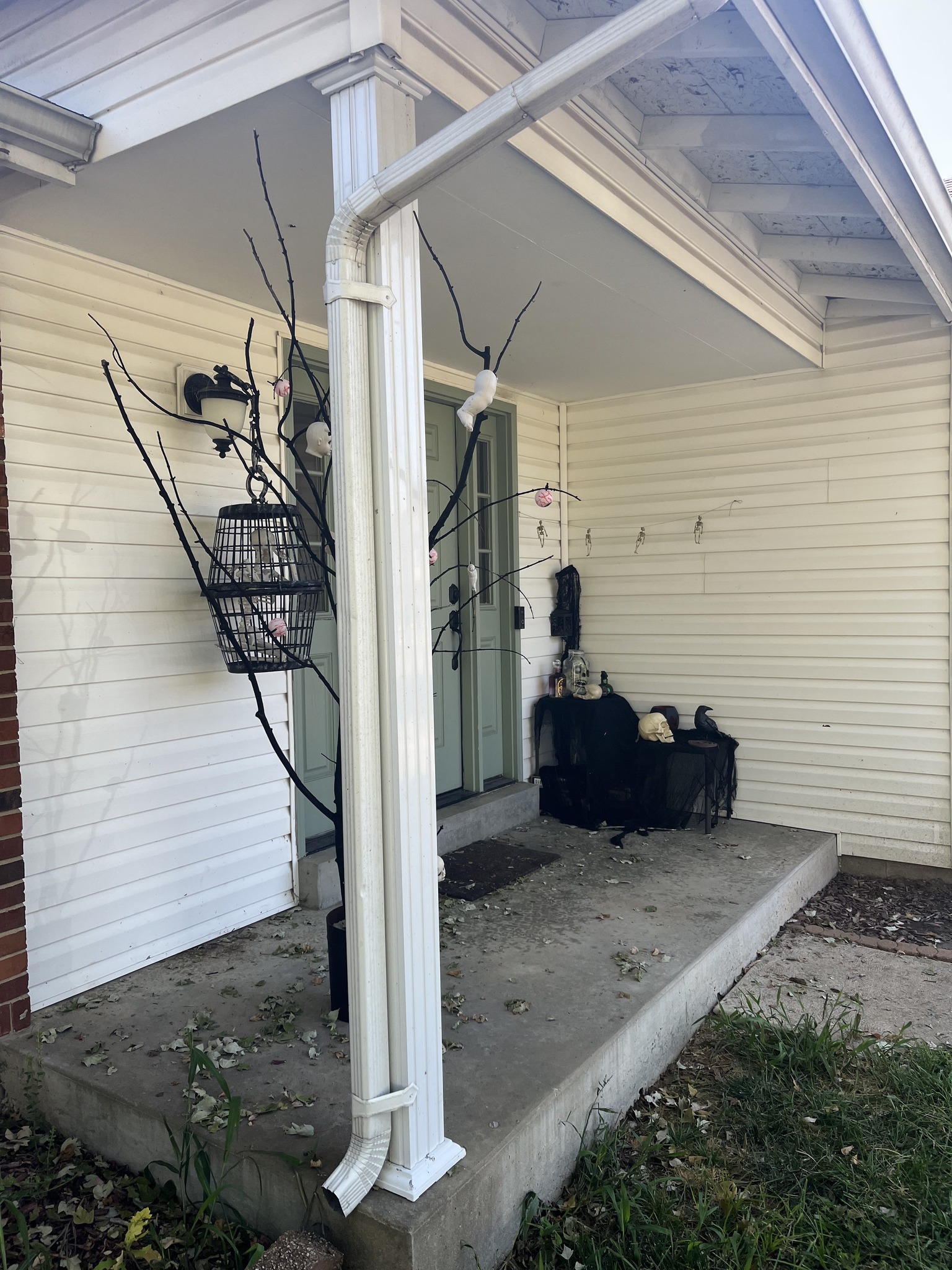 A front porch decorated for Halloween with a black tree, hanging cage, skulls, and other spooky decorations near a light green door.