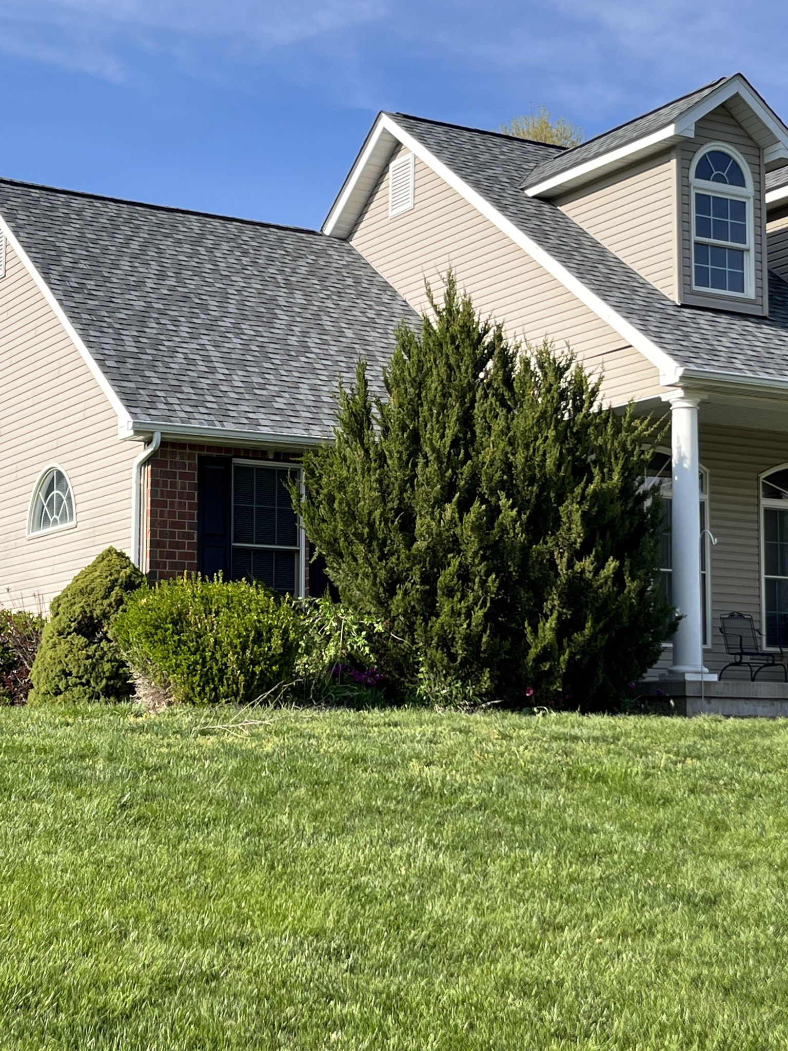 A beige house with white trim and a gray shingled roof, partially obscured by large green bushes, sits behind a well-kept grassy lawn.